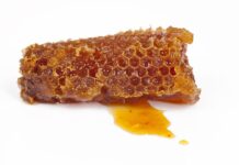 Czy kit pszczeli to propolis?